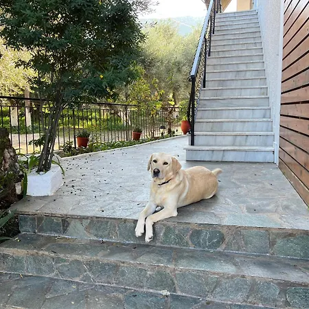 Nikos Apartment